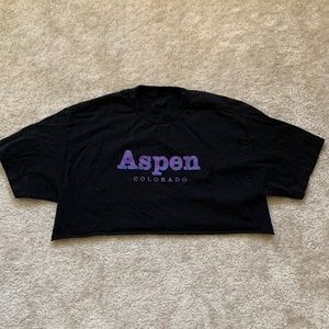 Brandy Melville cropped Aspen tee